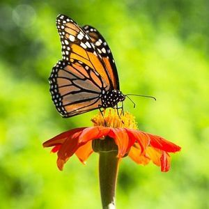 Meet your Posher, Sue